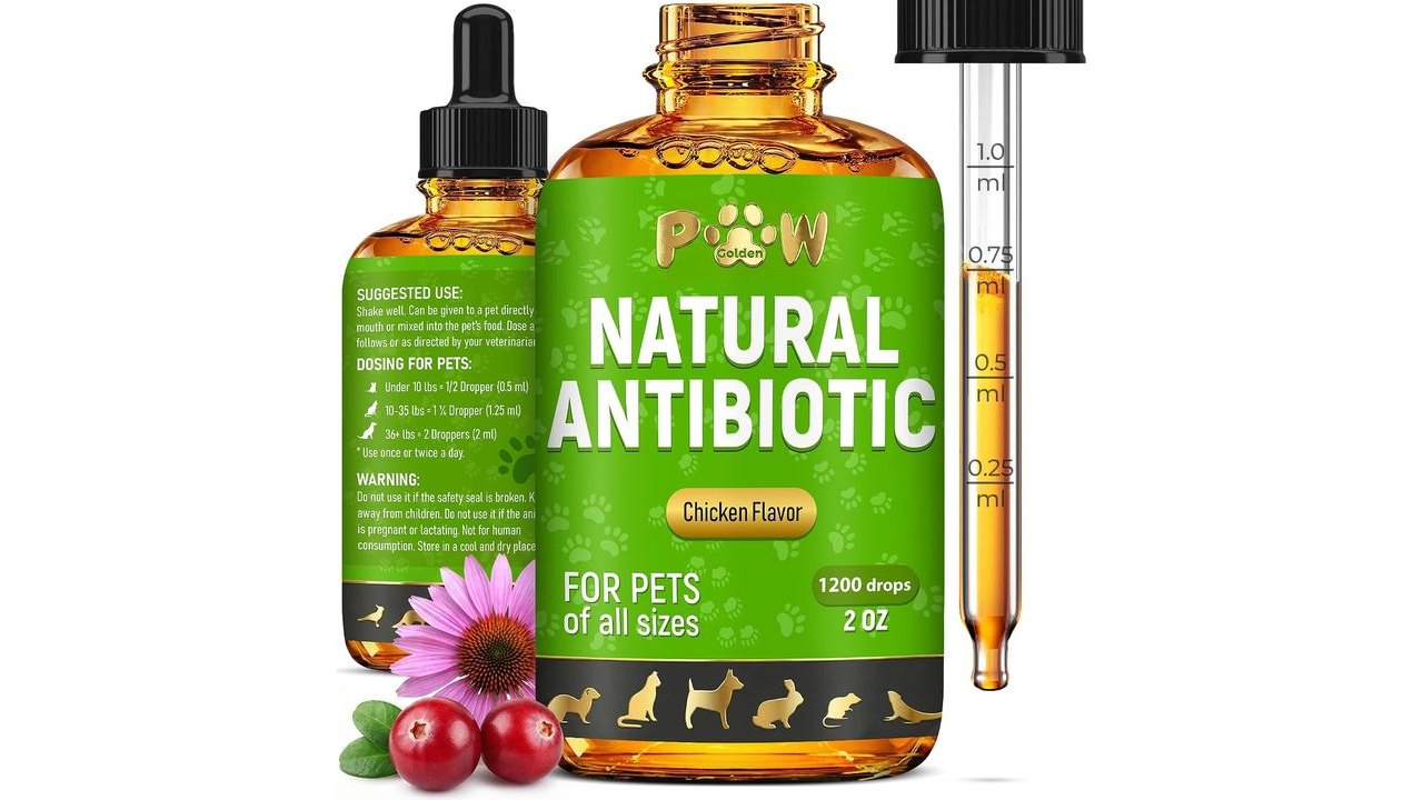 Herbal Pet Antibiotics for Rabbits, Reptiles, Turtles, Guinea Pigs, Fish – Chicken Antibiotics in Liquid for All Birds (Duck, Turkey, Goose) – For UTIs, Allergies, Runny Nose & Digestion – 2-oz Bottle