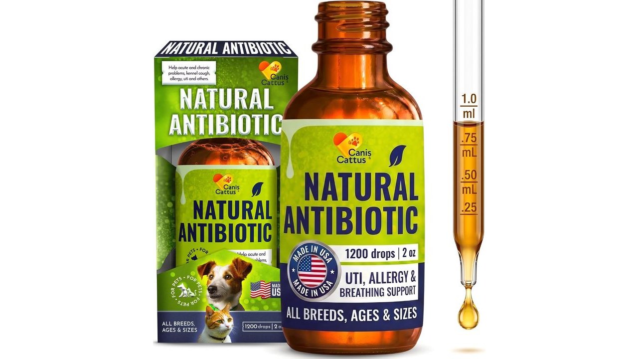 Cat Antibiotic Provides Cat Upper Respiratory Relief – Dog Antibiotics for Kennel Cough, UTIs and Allergies – Natural Digestion Care for All Pet Sizes & Breeds – Drops in a 2-oz Bottle