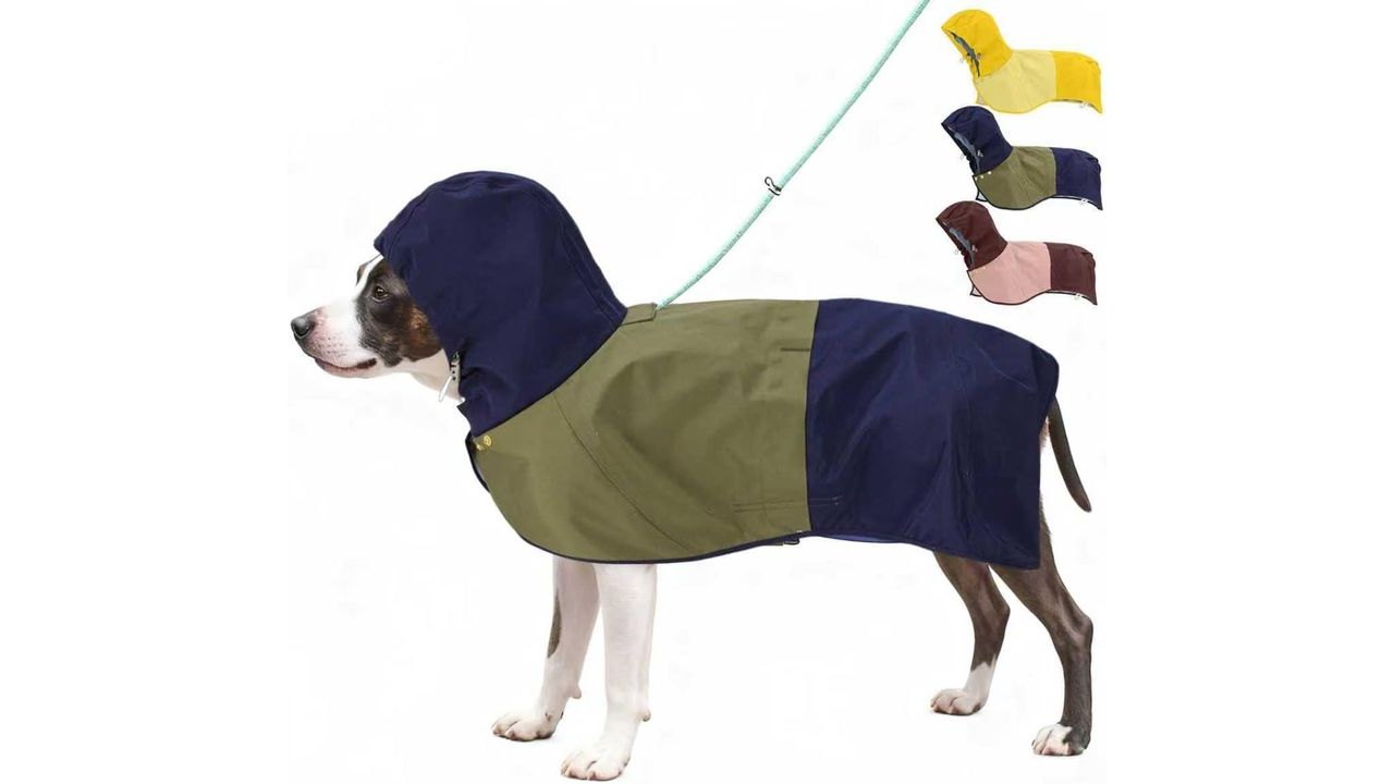 Waterproof Dog Raincoat with Hood, Extended Coverage Rain Jacket for Samll Dogs, Wind-Resistant Secure Fit with Leg Straps, Reflective, Leash Hole, Easy Hook & Loop Fastener On/Off, Blue, XS