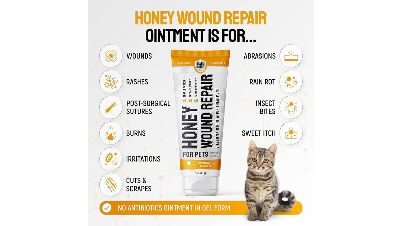 Cat Wound Care Gel for Scratches, Bites & Irritations – Hot Spot Treatment for Cats & Kittens – Honey Wound Repair Ointment in Gel Form with Colloidal Silver & Manuka Honey for Topical Use – 2 Oz Tube